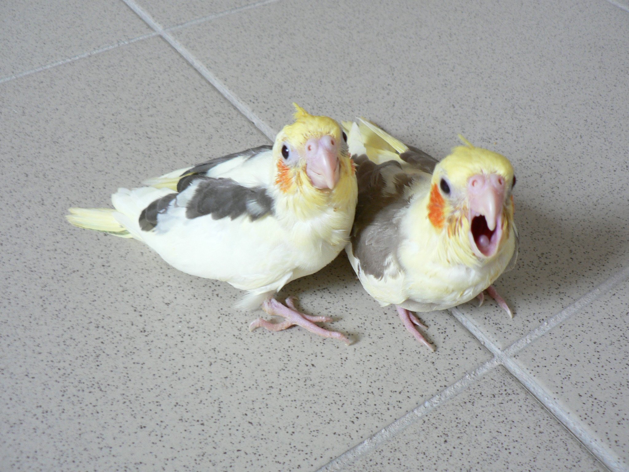 P1080710